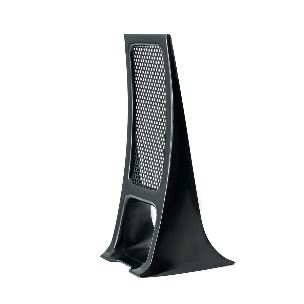 Aggressor ラジエターカバー1