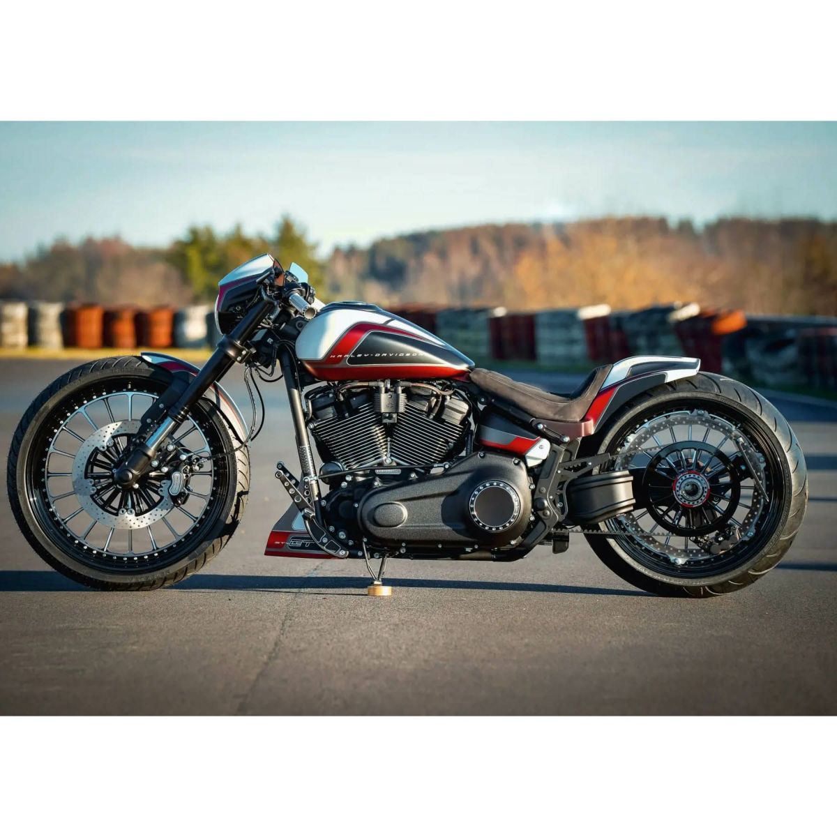 GPスタイル リアフェンダー5