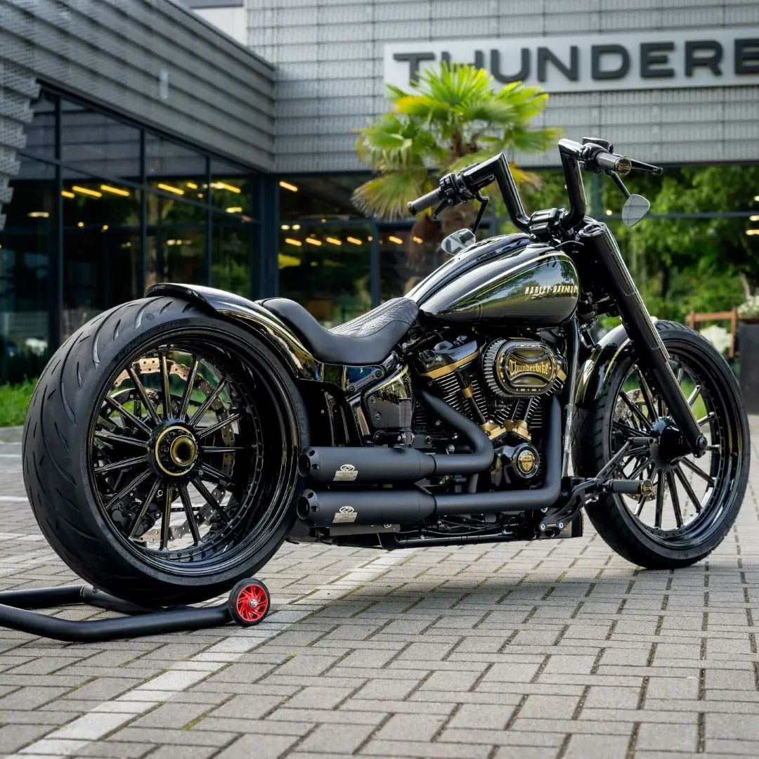 エアライド・リアサスペンションキット 2018～2024 ブレイクアウト、ファットボーイ3