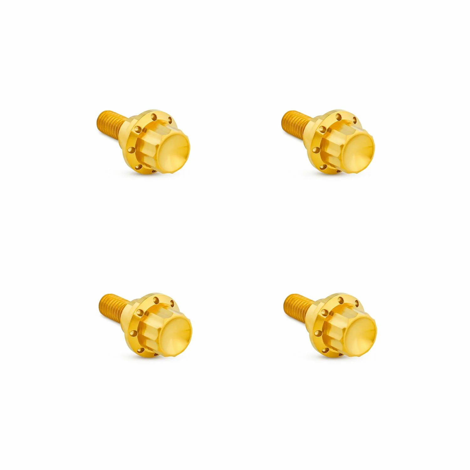 Arlenness（アレンネス） チタン 12ポイント ウインドシールドボルトキット ゴールド 2025以降 ロードグライド 2