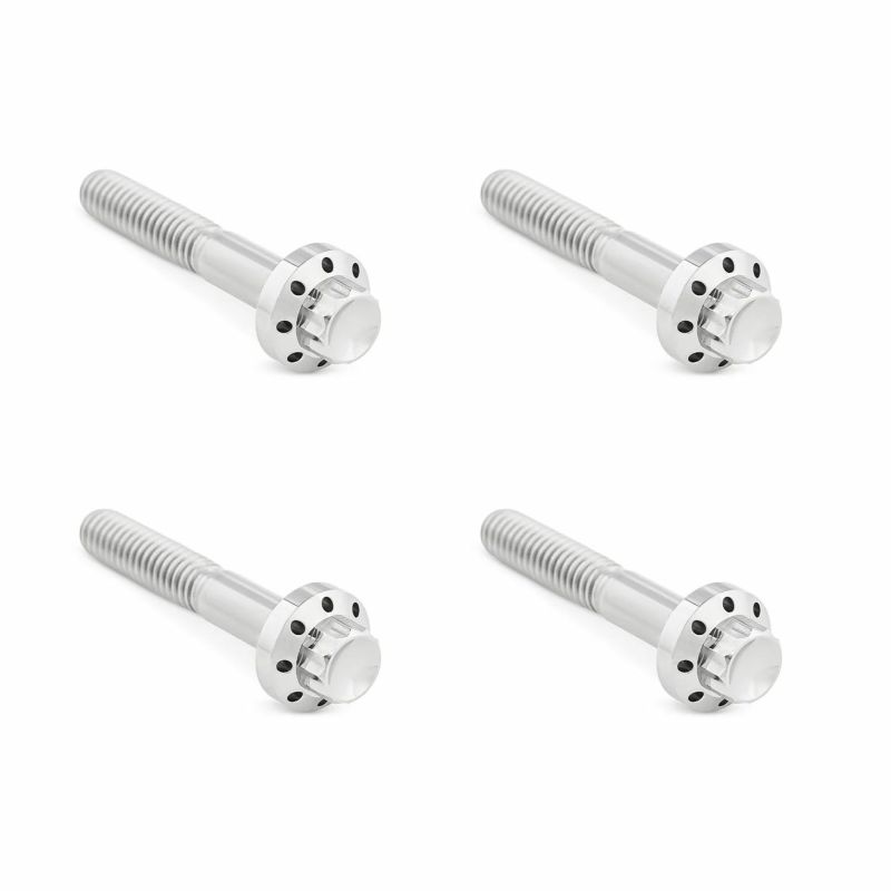 Arlenness（アレンネス） チタン 12ポイント フロントフェンダーボルトキット ポリッシュ 2009以降 ツーリング