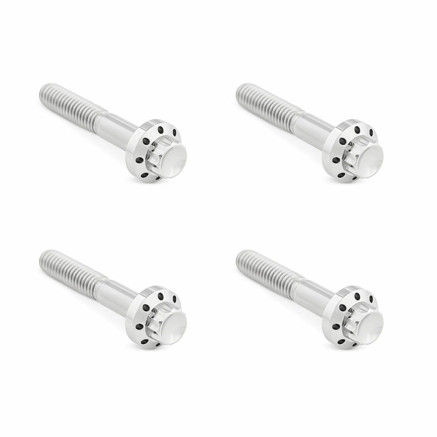 Arlenness（アレンネス） チタン 12ポイント フロントフェンダーボルトキット ポリッシュ 2009以降 ツーリング