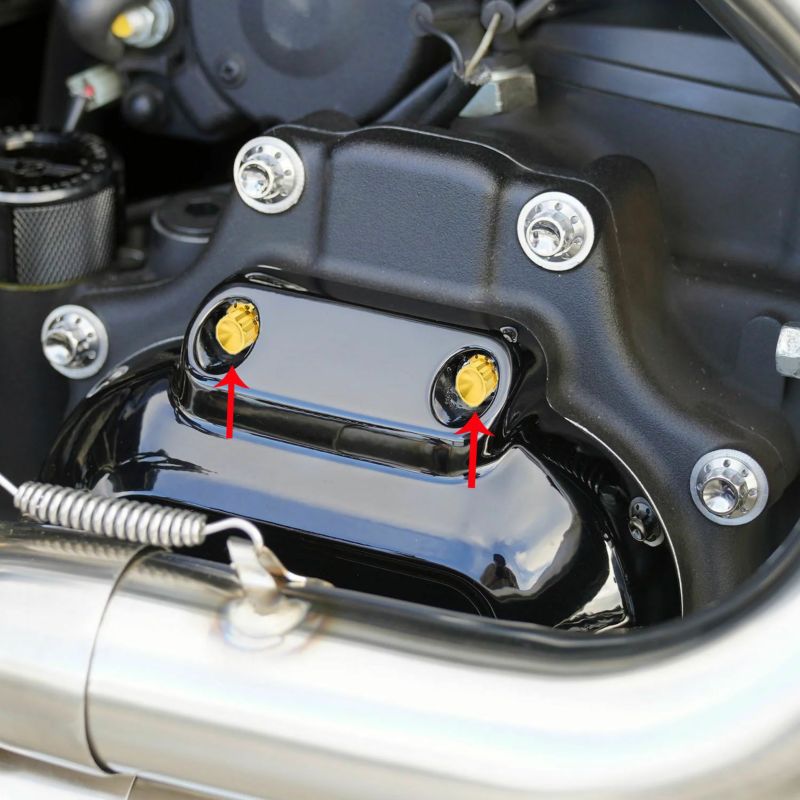 Arlenness（アレンネス） チタン 12ポイント トランスミッションサイドカバー ボルトキット ゴールド 2007～2023 ケーブルクラッチ車