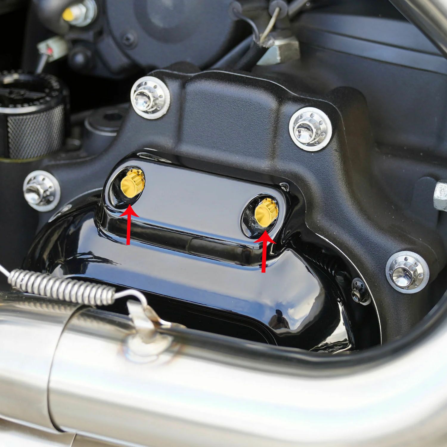 Arlenness（アレンネス） チタン 12ポイント トランスミッションサイドカバー ボルトキット ゴールド 2007～2023 ケーブルクラッチ車