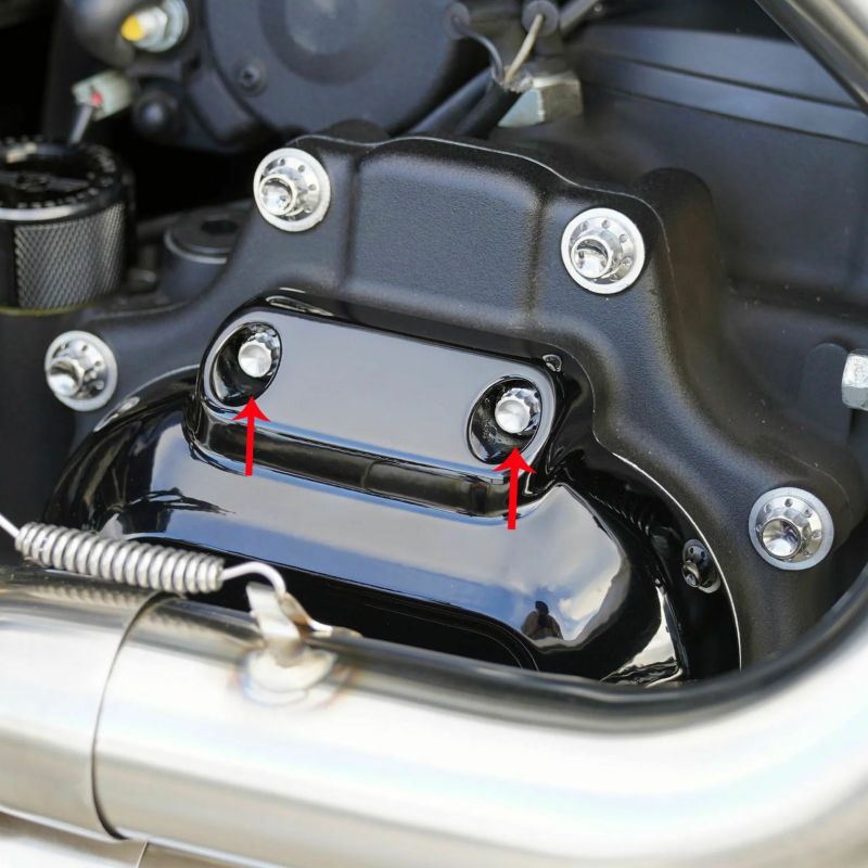 Arlenness（アレンネス） チタン 12ポイント トランスミッションサイドカバー ボルトキット ポリッシュ 2017～2020 ツーリング