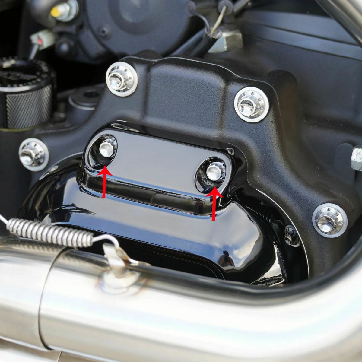 Arlenness（アレンネス） チタン 12ポイント トランスミッションサイドカバー ボルトキット ポリッシュ 2017～2020 ツーリング