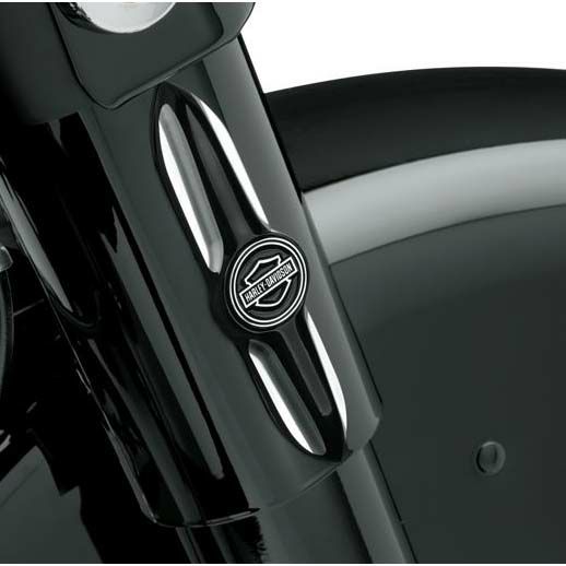 バースト・フォークカバー・メダリオン-01