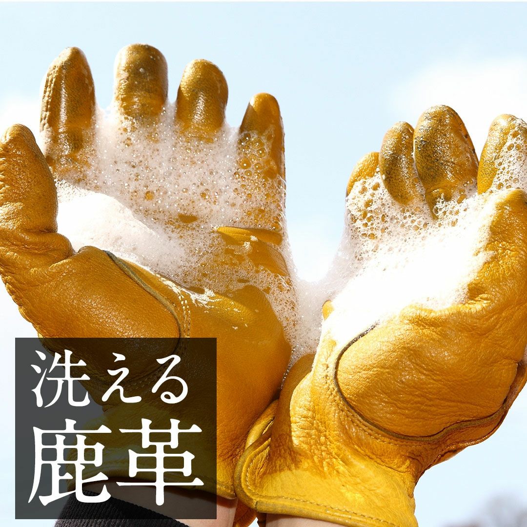 DEGNER デグナー 洗える ウインター レザーグローブ ブラック 6