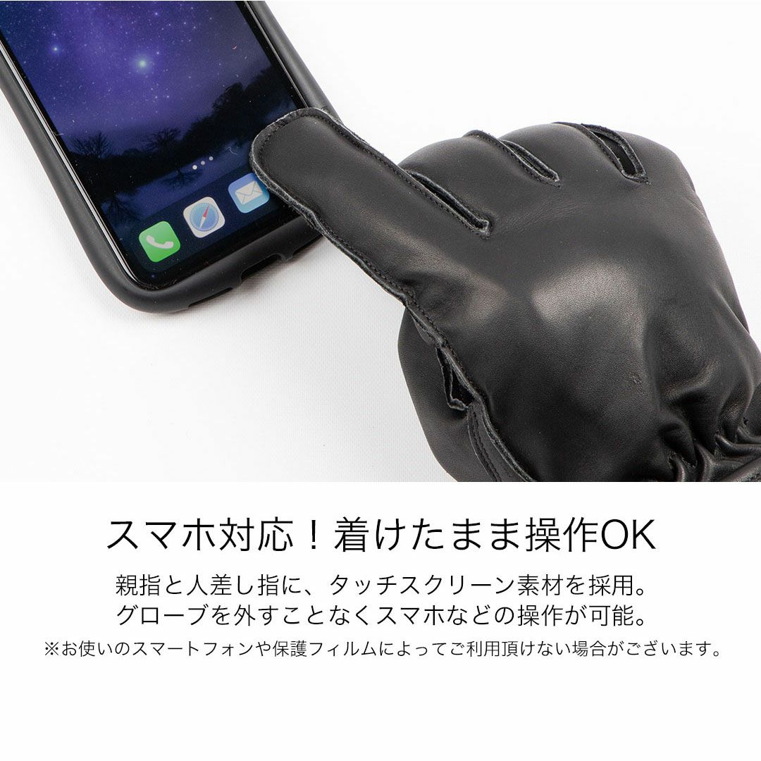DEGNER デグナー レディース ウインター レザー グローブ ブラック 9