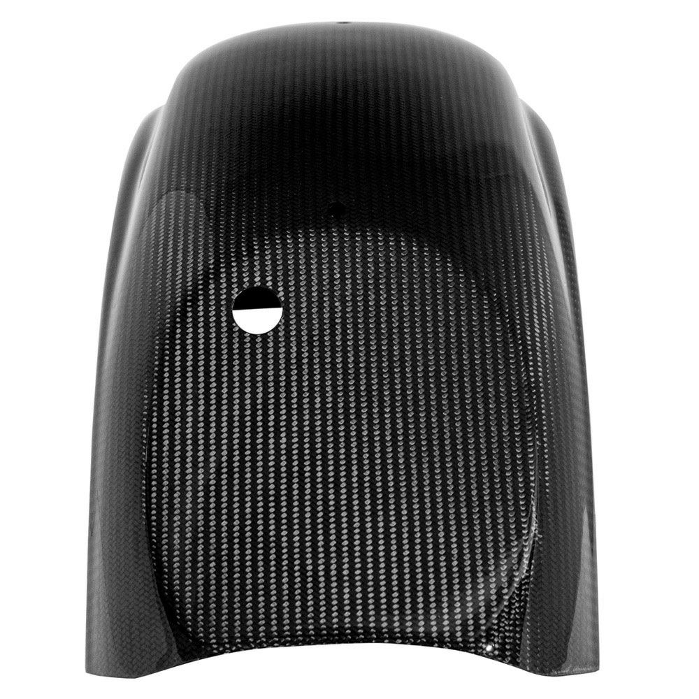 カーボンファイバー リアフェンダー (グロス)3