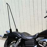 CYCLE VISION シーシーバースティック 30インチ　ユニバーサル　ブラック-01