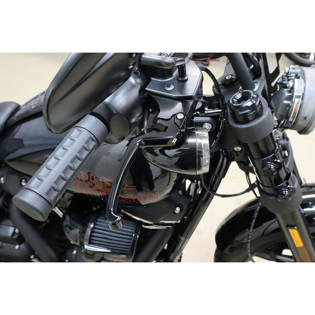 アジャスタブルレバーセット スタンダードタイプ (ブラック/ブラック)2