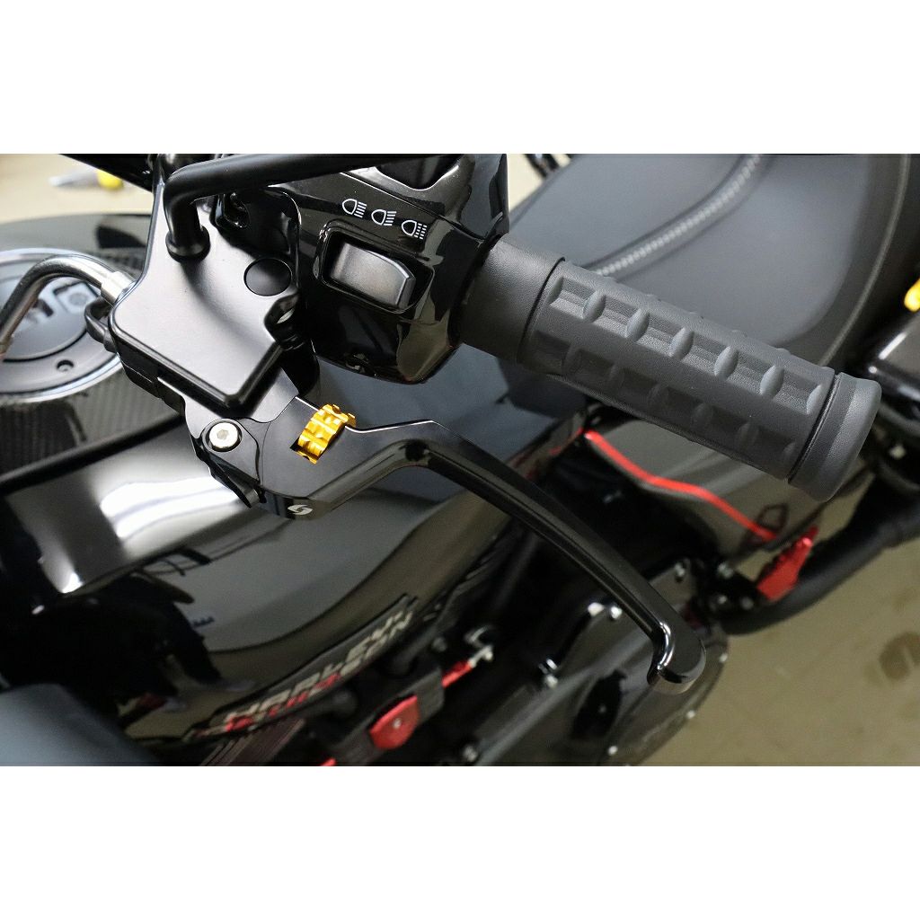 アジャスタブルレバーセット スタンダードタイプ (ブラック/ゴールド)2