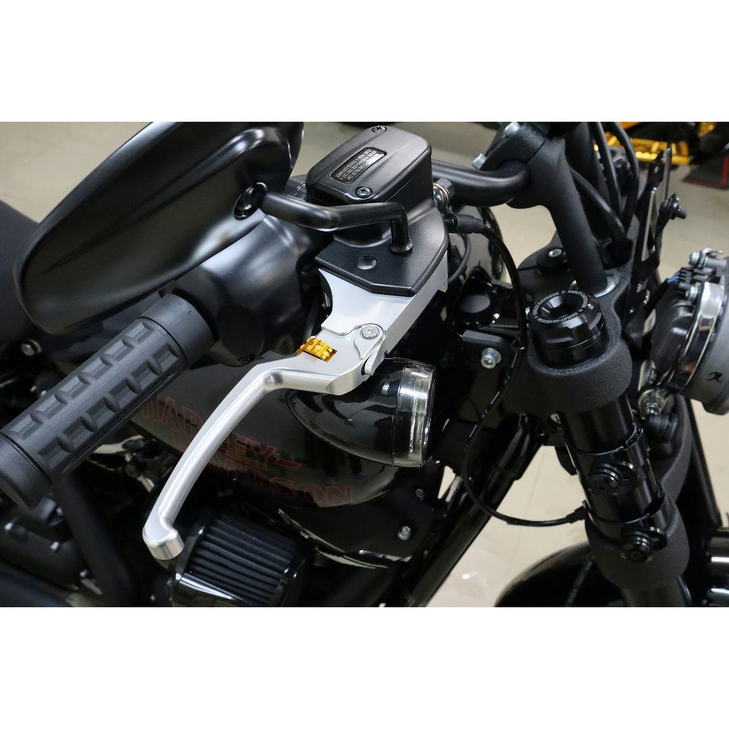 アジャスタブルレバーセット スタンダードタイプ (シルバー/ゴールド)2