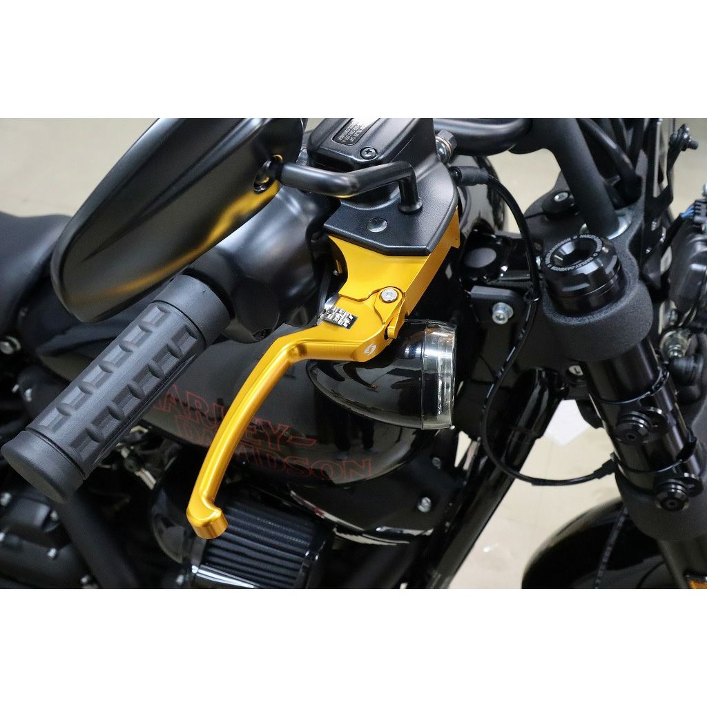 アジャスタブルレバーセット スタンダードタイプ (ゴールド/シルバー)2