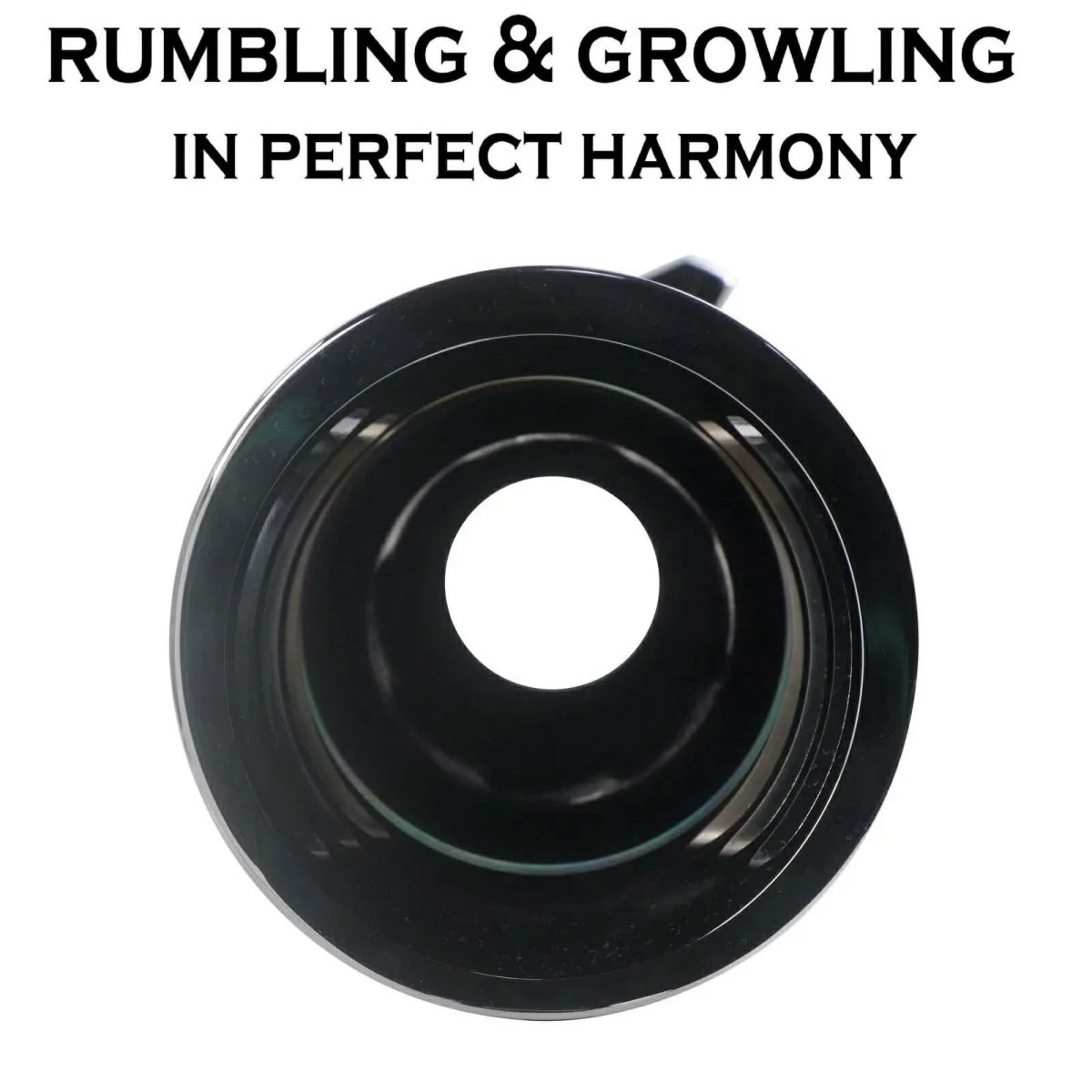 シャークロード 4インチ スリップオンマフラー (クローム)3