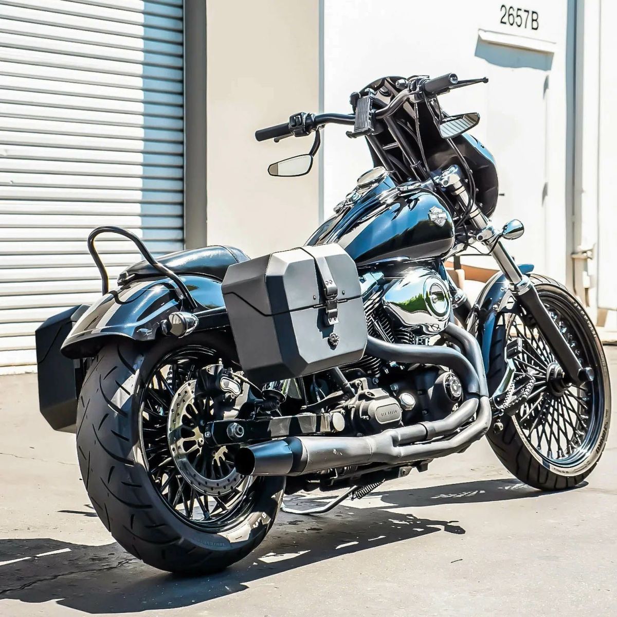 アウトロー クイックマウント サドルバッグ 20L (レザーラップ)2