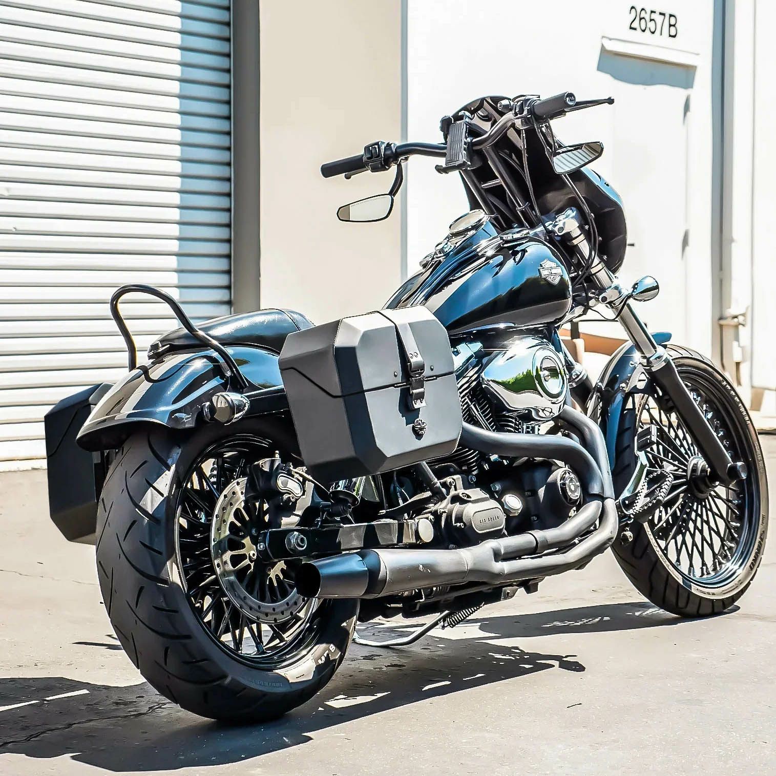 アウトロー クイックマウント サドルバッグ 20L (レザーラップ)2