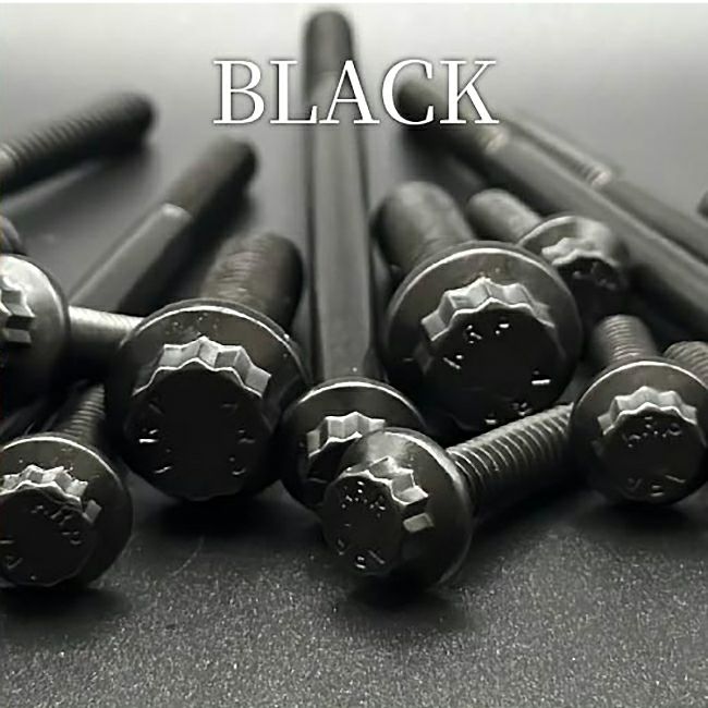 サドルバッグサポート用ボルトセット (ブラック)1