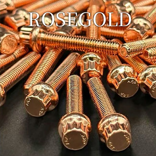 サドルバッグサポート用ボルトセット (ローズゴールド)1
