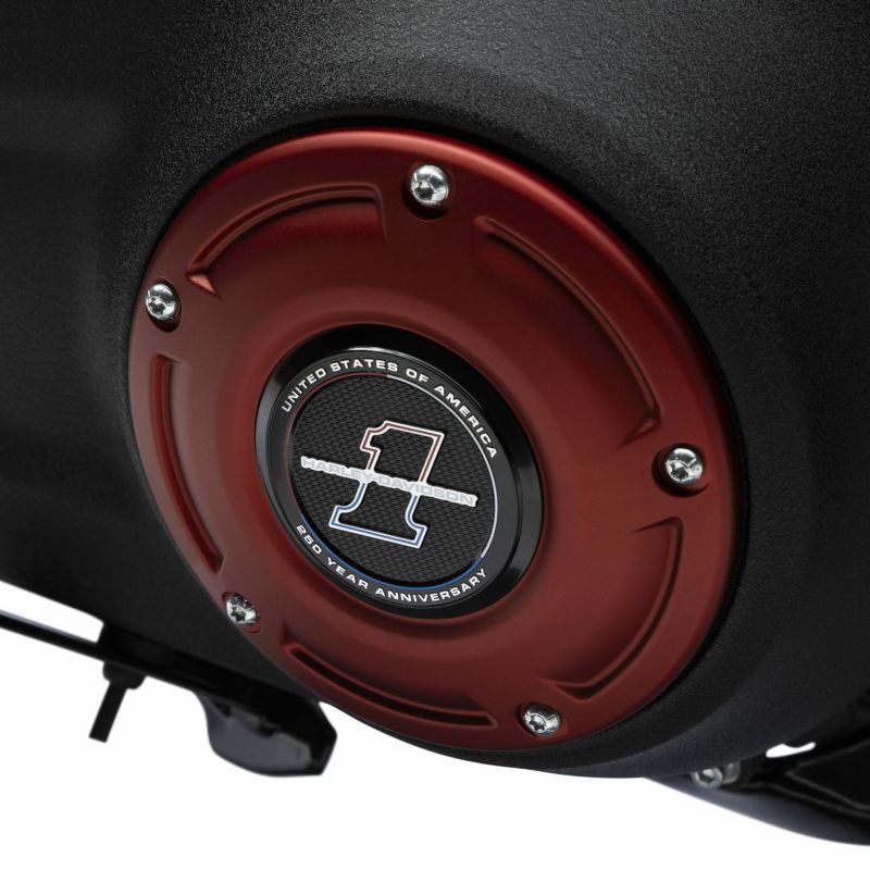 アメリカ建国250周年記念 メダリオン (ミディアム)