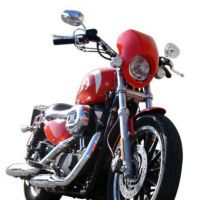 スポーツスター用　ビキニカウル 純正カラー仕上げ-01