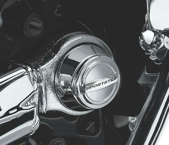 スポーツスター・ピボットボルトカバーキット-02