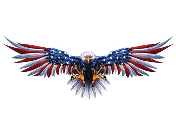 デカール USA EAGLE-02