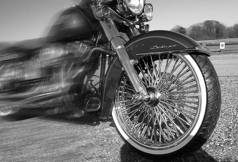 DNA Mammoth スポークホイール　21x3.0 フロント クローム-03