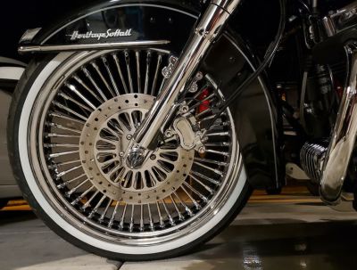 DNA Mammoth スポークホイール　21x3.5 フロント クローム