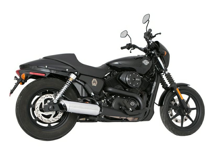 Tab Performance　スリップオンマフラー　クローム/クロームエンド-02