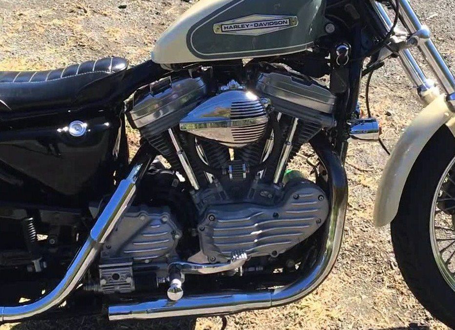 EMD　スプロケットカバー　Ribster Raw スポーツスター-02