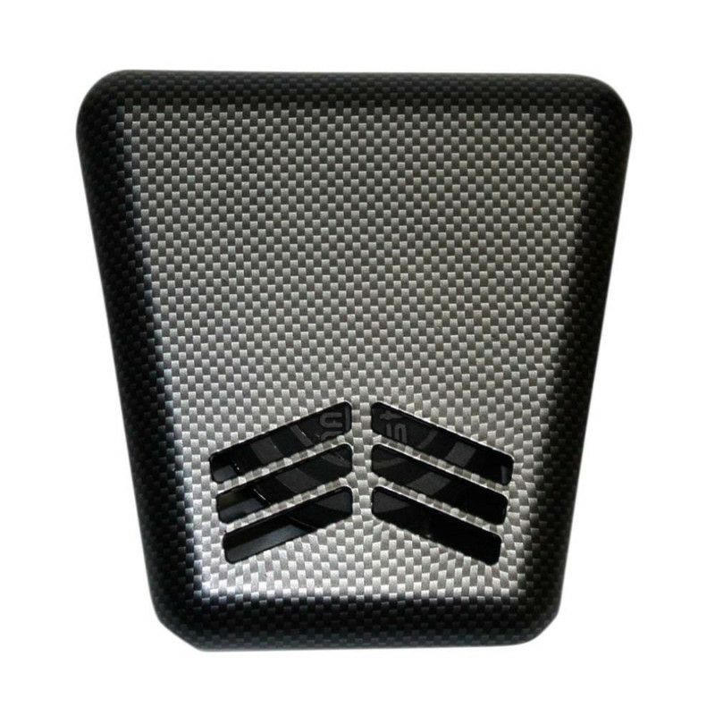 CUSTOM DYNAMICS - MINI BEASTエアホーン　カーボン-01