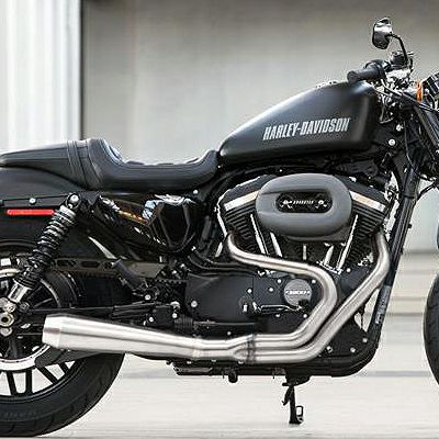 バッサーニ(Bassani) Natural Road Rage III スポーツスター