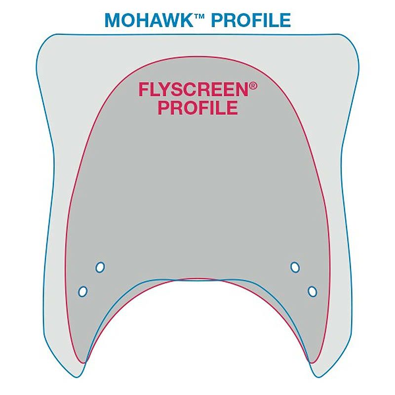 ナショナルサイクル MOHAWK・ウインドシールド ダークスモーク ブラックストレートアーム-03