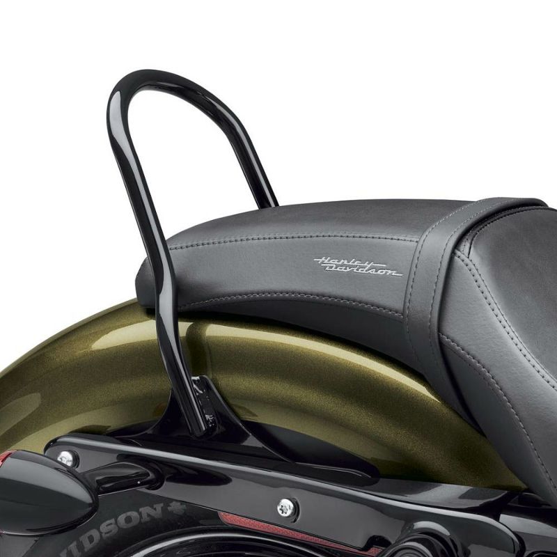 スポーツスター用ロープロファイル ワンピース・シーシーバー 