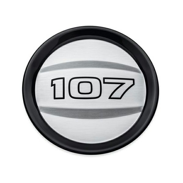 107 ロゴ エアクリーナートリム-02