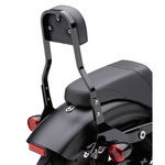 COBRA　デタッチャブル・シーシーバーセット　14インチ　ブラック　ダイナ
