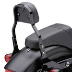 COBRA　デタッチャブル・シーシーバーセット　11インチ　ブラック　ダイナ