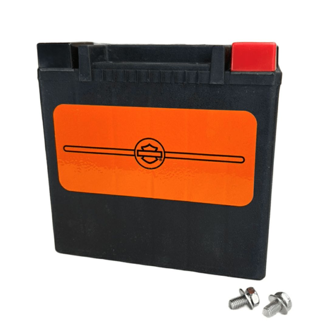 -D・AGM標準装備バッテリー スポーツスター パンアメリカ 1