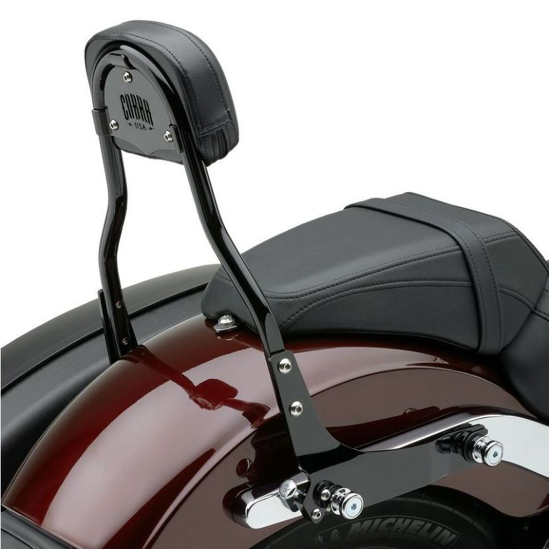 SALE】COBRA ラウンド・デタッチャブル シーシーバーセット SALE】COBRA ラウンド・デタッチャブル シーシーバーセット