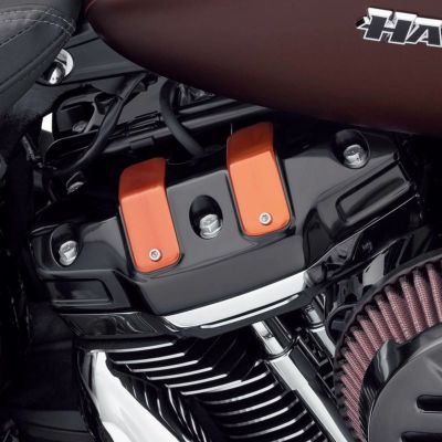ドミニオン･コレクション･インサート ロッカーボックス ブラッシュドオレンジ