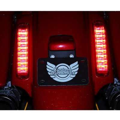 カスタムダイナミクス (Custom Dynamics) PROBEAM LEDライトパネル スモーク