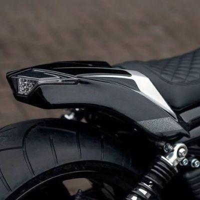 Killer Custom V-ROD スネーク・カスタムリアフェンダー