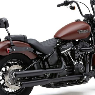 COBRA ネイバーヘイター 3インチ スリップオン・マフラー ブラック FLHC、FLDE