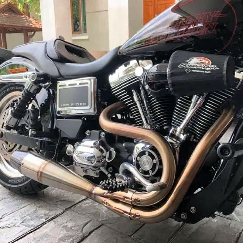 SAWICKI ショーティー2IN1・フルエキゾーストマフラー ステンレスブラシ仕上げ DYNA-01