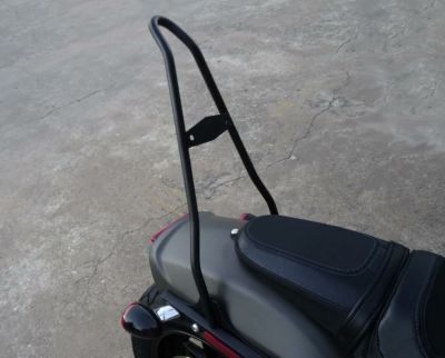 Top Hand Ventures 16インチシーシーバー デニムブラック パッド用マウント付　　FXLRS＆FLSB
