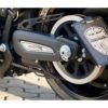Thunderbike ベルトガード マットブラック FXDRS-02