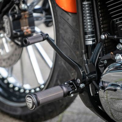 Thunderbike シフトペグ サテンブラックカット