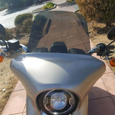 Wind Vest スポーツグライド ウィンドスクリーン 10インチ ライトスモーク